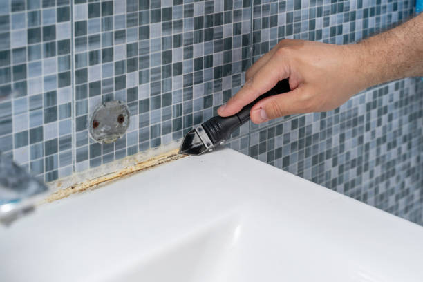 Best Affordable Mold Removal  in Mount Angel, OR