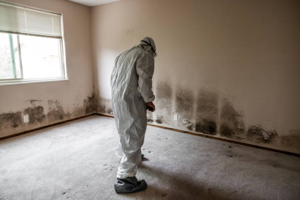 Best Mold Testing  in Mount Angel, OR
